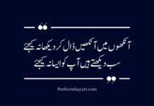 Urdu Poetry On Eyes